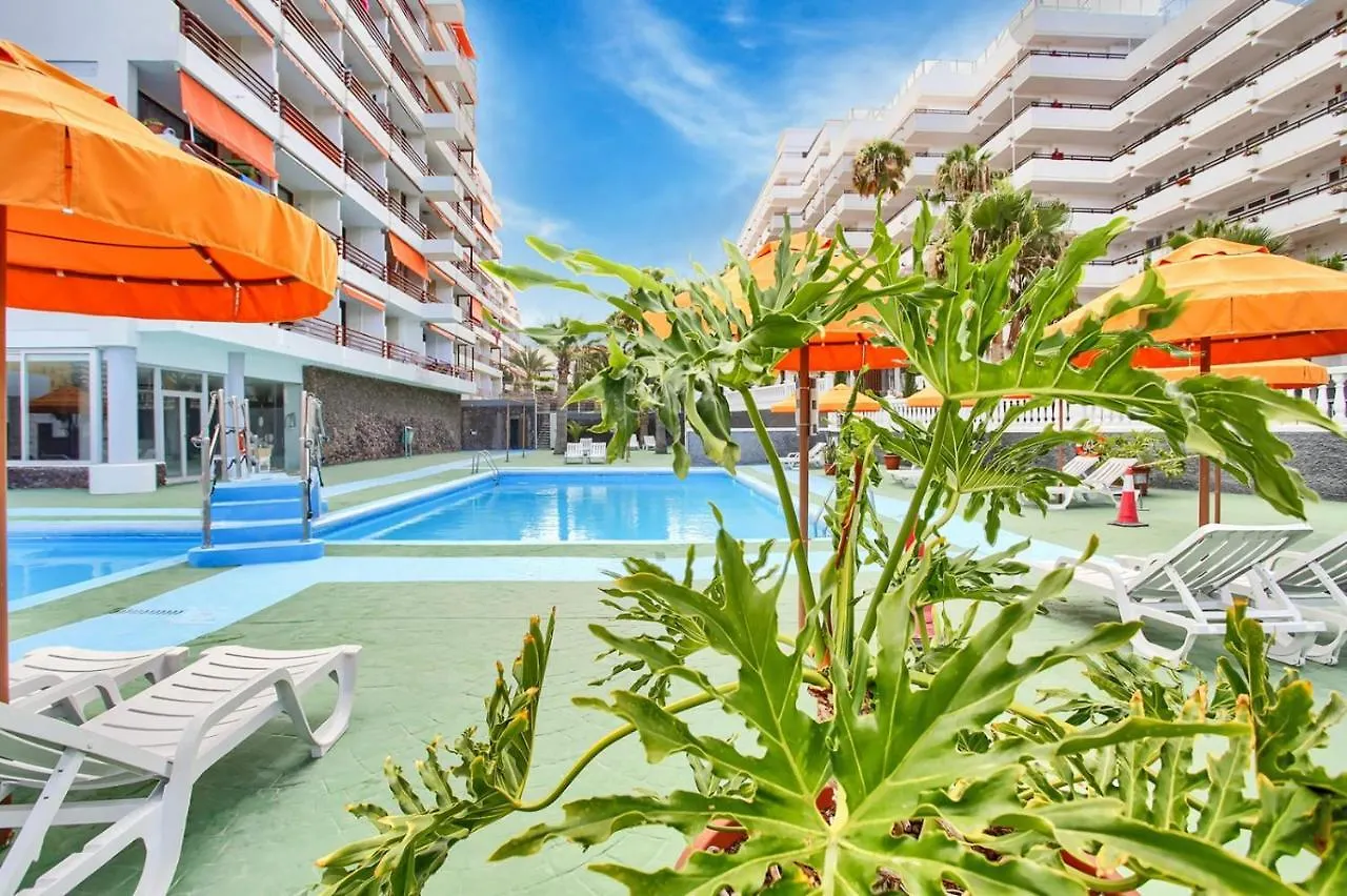 Luxury Studio Quasar Sea View In Olimpia Playa de las Americas